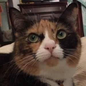 Meet your Posher, Susan